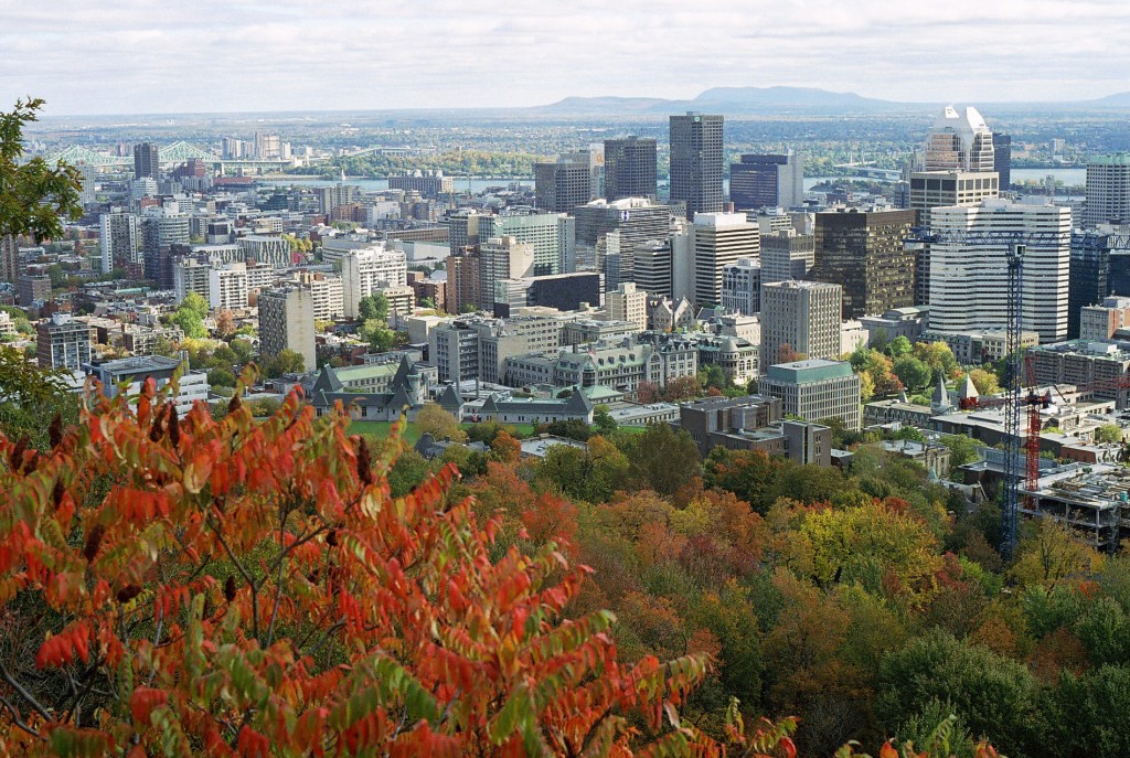 View of downtown Montreal from Mont Royal Park